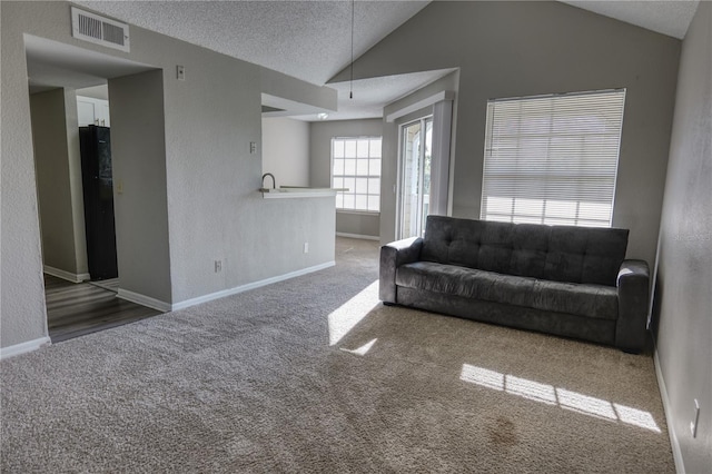 living area with visible vents, carpet floors, a textured ceiling, and lofted ceiling