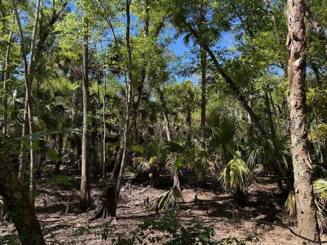 Lake Harney Rd, Osteen, FL 32764 - photo 1