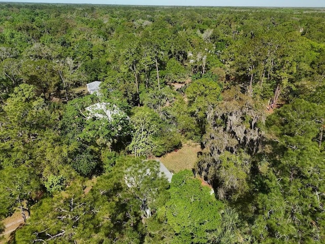 25535 Luke St, Christmas, FL 32709 - photo 3