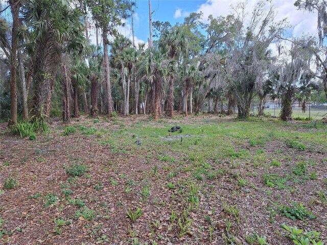 25535 Luke St, Christmas, FL 32709 - photo 8