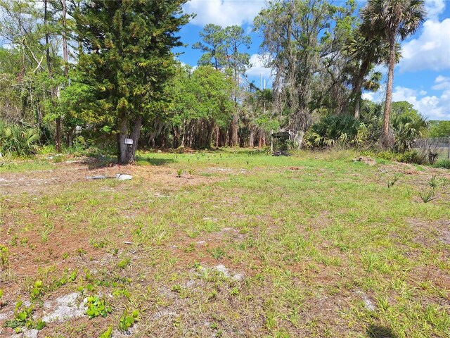 25535 Luke St, Christmas, FL 32709 - photo 9