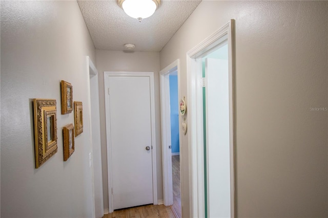 613 Andrew St, Altamonte Springs, FL 32714 - hallway featuring light wood-type flooring and a textured ceiling