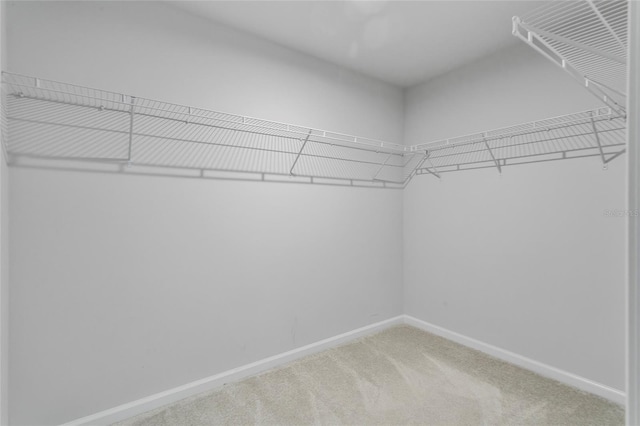 1506 Finnigan Cir, Haines City, FL 33844 - spacious closet featuring carpet floors