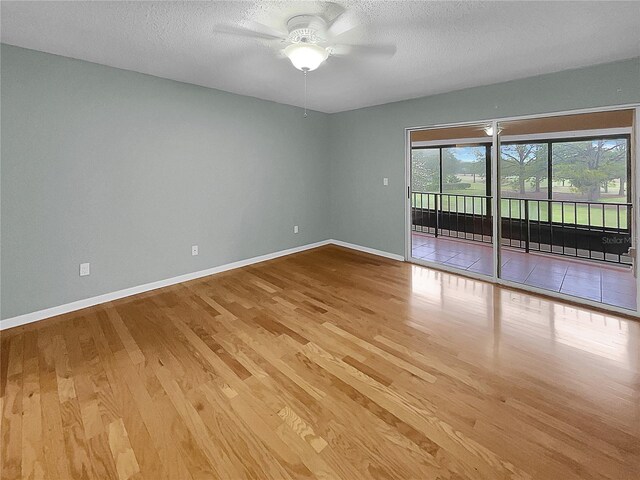 13516 Palmwood Ln, Tampa, FL 33618 - photo 5