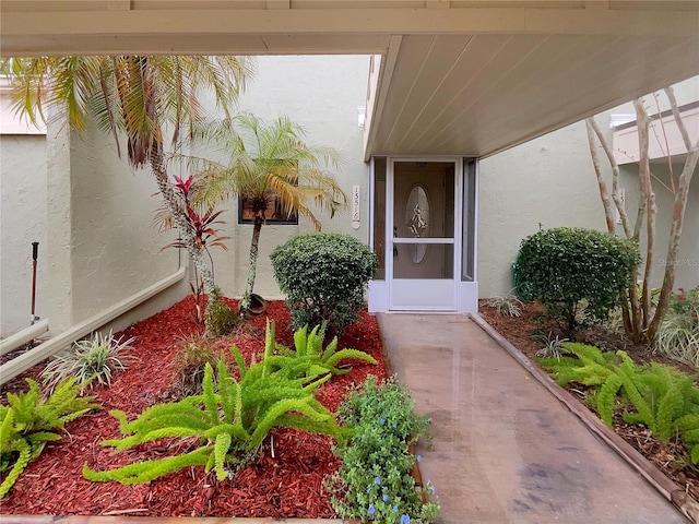 13516 Palmwood Ln, Tampa, FL 33618 - photo 9