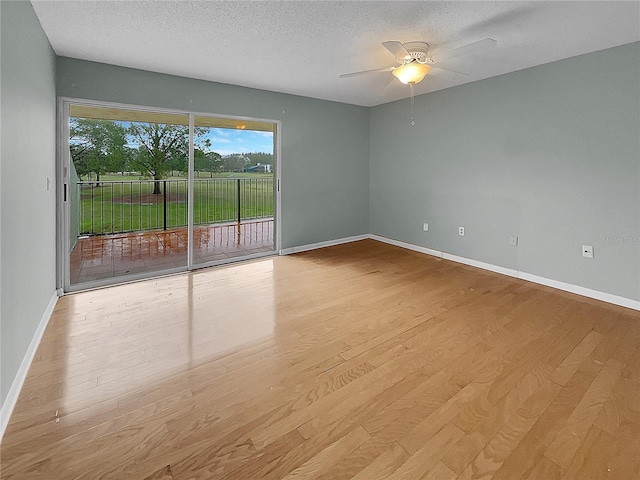 13516 Palmwood Ln, Tampa, FL 33618 - photo 21