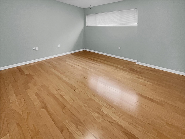 13516 Palmwood Ln, Tampa, FL 33618 - photo 23