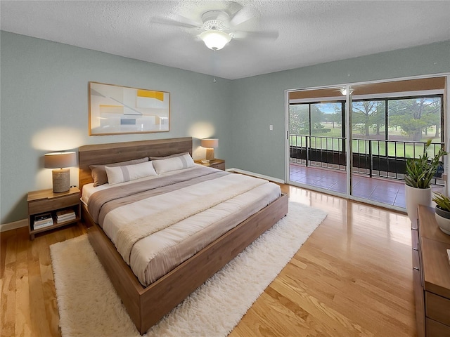 13516 Palmwood Ln, Tampa, FL 33618 - photo 4