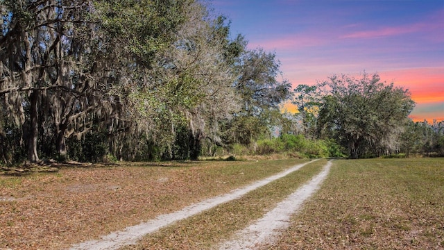 8000 Pine Island Rd, Clermont, FL 34711