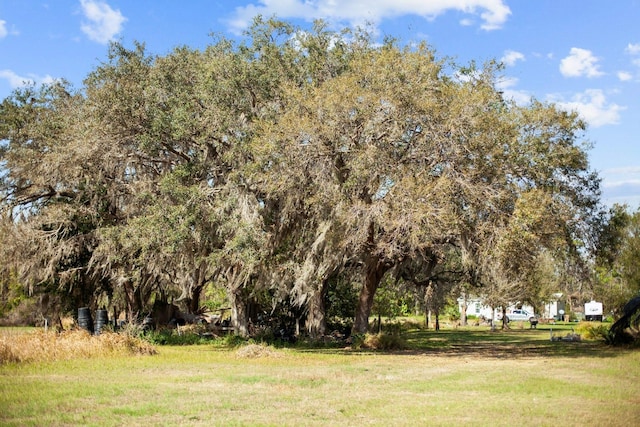 8000 Pine Island Rd, Clermont, FL 34711