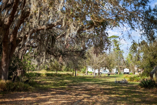 8000 Pine Island Rd, Clermont, FL 34711