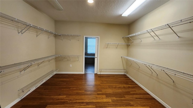 2749 Sand Oak Loop, Apopka, FL 32712 - walk in closet featuring wood finished floors