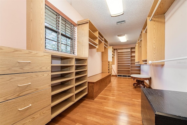 132 Pleasant Valley Dr, Daytona Beach, FL 32114 - walk in closet with light wood-style floors and visible vents