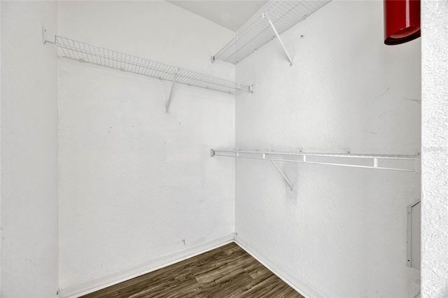 2314 Midtown Ter Unit 1136, Orlando, FL 32839 - spacious closet with dark wood-style flooring