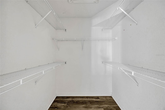 2314 Midtown Ter Unit 1136, Orlando, FL 32839 - spacious closet featuring dark wood-style floors