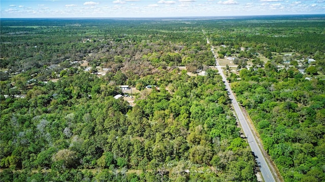 Harrison Rd, Mims, FL 32754 - photo 3