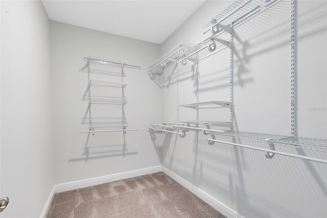 7948 Dausset St, Orlando, FL 32827 - photo 15