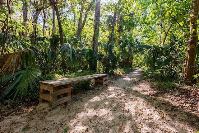 204 Tomoka Trl Unit 204, Longwood, FL 32779 - view of community