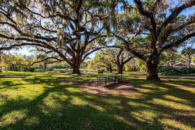 204 Tomoka Trl Unit 204, Longwood, FL 32779 - surrounding community featuring a yard