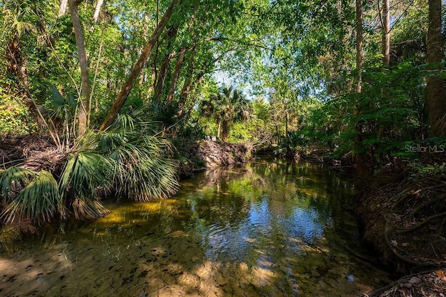 204 Tomoka Trl Unit 204, Longwood, FL 32779 - water view