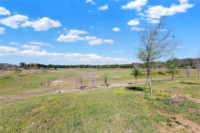 11207 Amber Ridge Dr, Zellwood, FL 32798 - view of yard featuring a rural view