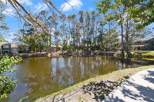 6114 Peregrine Ave Unit D03, Orlando, FL 32819 - water view