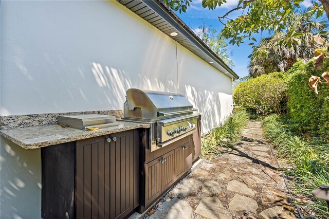 1701 Palmer Ave, Winter Park, FL 32789 - view of patio / terrace featuring an outdoor kitchen and a grill