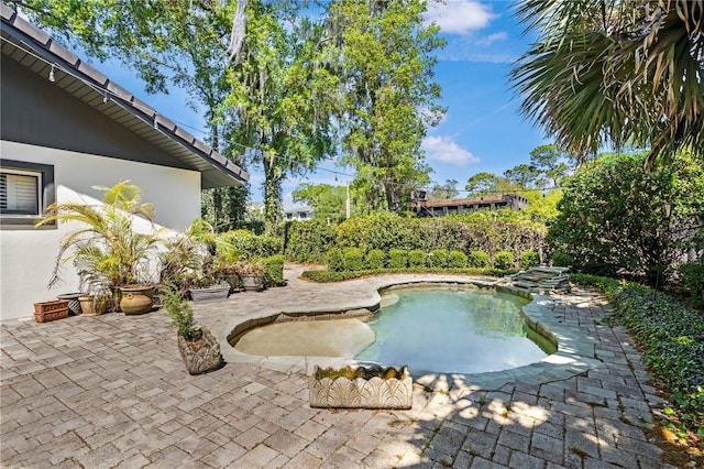 1701 Palmer Ave, Winter Park, FL 32789 - view of pool with a patio
