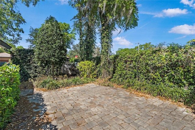 1701 Palmer Ave, Winter Park, FL 32789 - view of patio