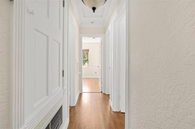 1701 Palmer Ave, Winter Park, FL 32789 - hall featuring wood finished floors, crown molding, and a textured wall