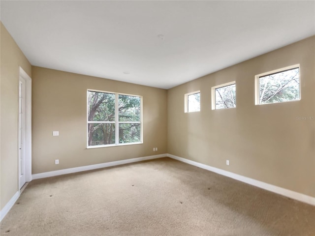 30411 Gidran Ter, Mount Dora, FL 32757 - empty room with light colored carpet and baseboards