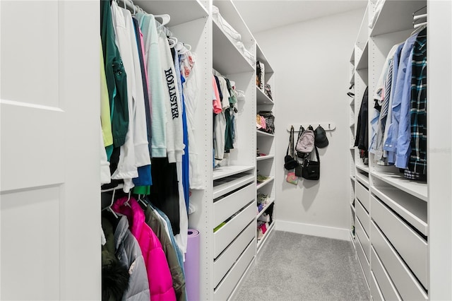 14004 Gullstrand Ave, Orlando, FL 32827 - spacious closet with light carpet