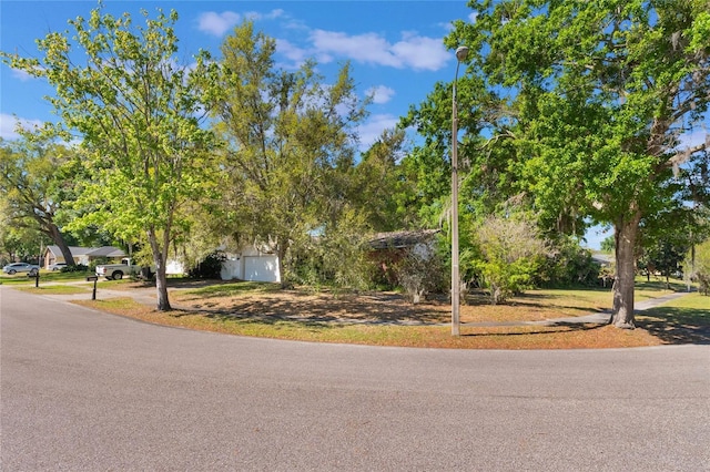 4366 Roanne Dr, Orlando, FL 32817 - view of road featuring street lighting