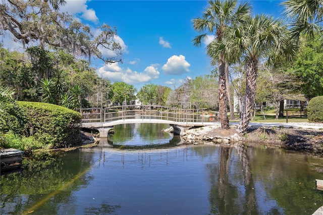 700 Melrose Ave Unit L-23, Winter Park, FL 32789 - water view