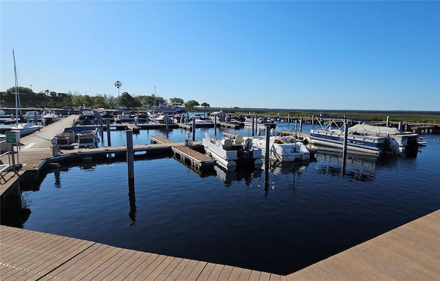 dock area with a water view