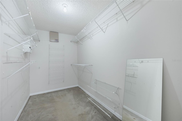 spacious closet with carpet floors