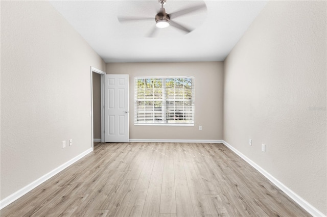 6847 Sperone St, Orlando, FL 32819 - photo 17