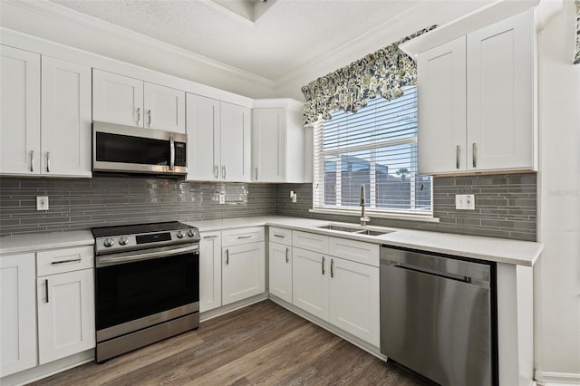kitchen with light countertops, dark wood-type flooring, a sink, and stainless steel appliances