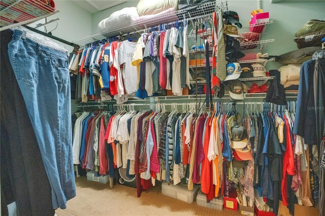 spacious closet featuring carpet floors