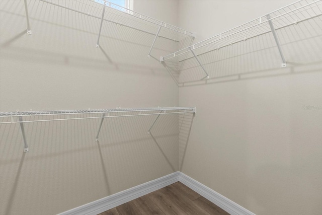 1973 E Celina St, Inverness, FL 34453 - walk in closet featuring dark wood-type flooring