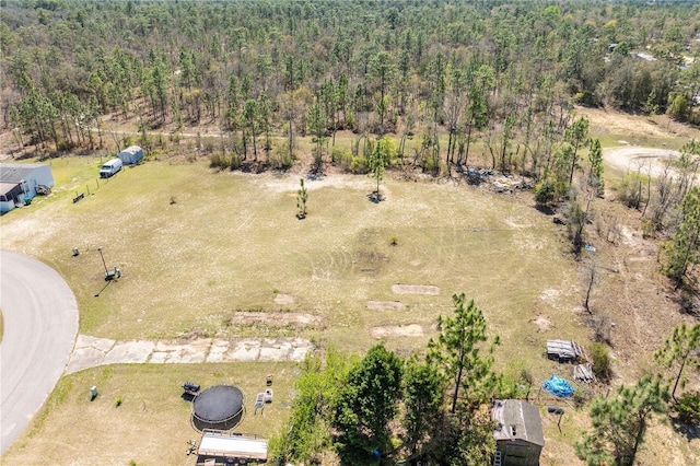 196 Carlene Ln, Quincy, FL 32351 - photo 6