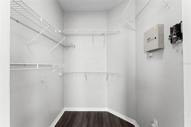 3384 Corona Village Way Unit 202, Orlando, FL 32835 - spacious closet with wood finished floors