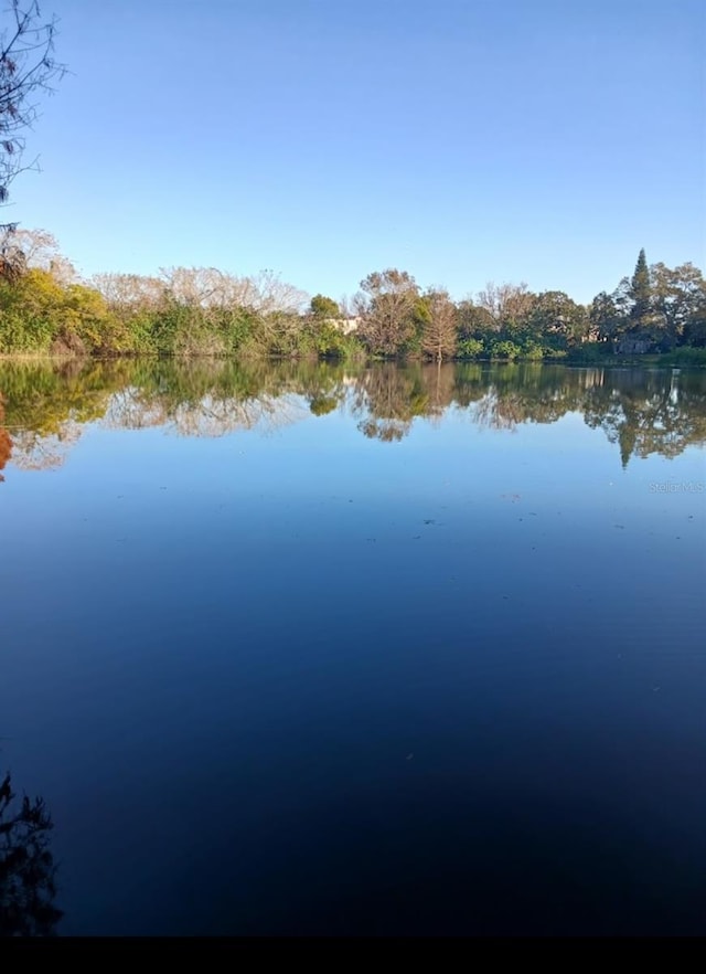 407 E Jersey St, Orlando, FL 32806 - view of water feature