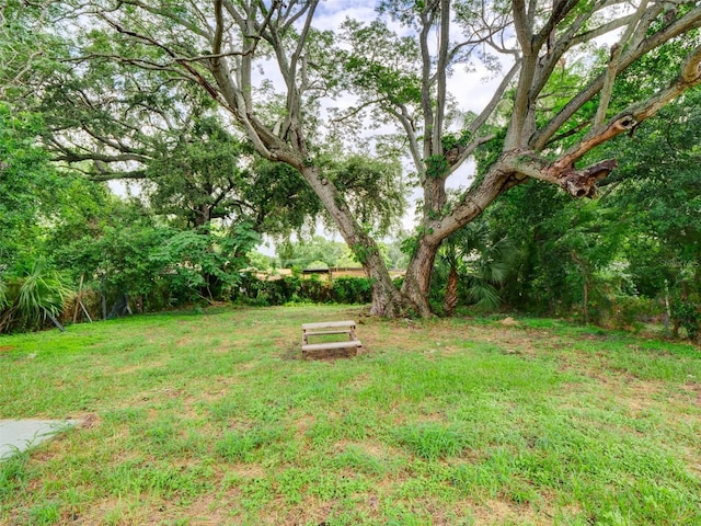 613 20th St, Orlando, FL 32805 - photo 5