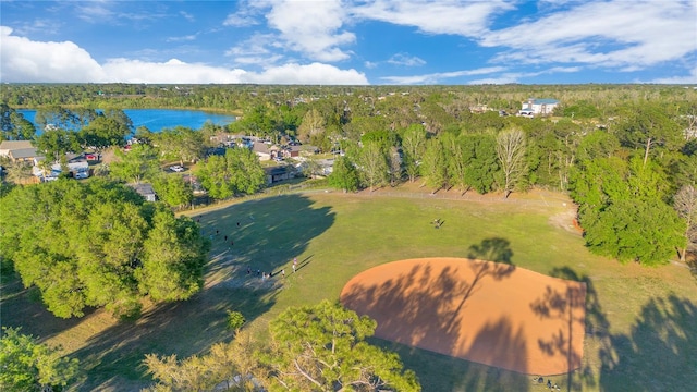 bird's eye view with a wooded view and a water view