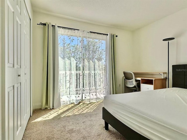 bedroom featuring access to exterior, carpet flooring, and a textured ceiling