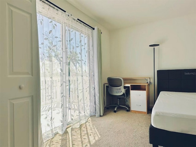bedroom with light colored carpet