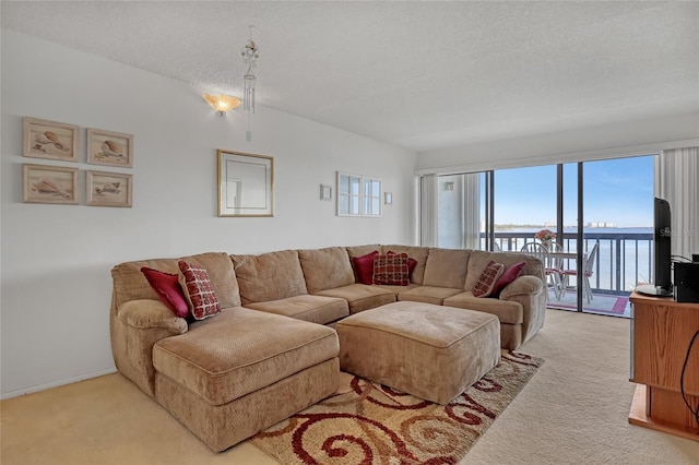 2465 S Washington Ave Unit A402, Titusville, FL 32780 - living room featuring a textured ceiling and light carpet