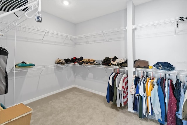 3121 Buffington Pl, Oviedo, FL 32765 - walk in closet with carpet