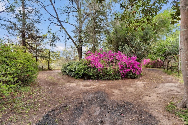 751 NE 140th Ave, Williston, FL 32696 - photo 8